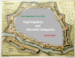 HAMC: Hopf Algebras and Monoidal Categories